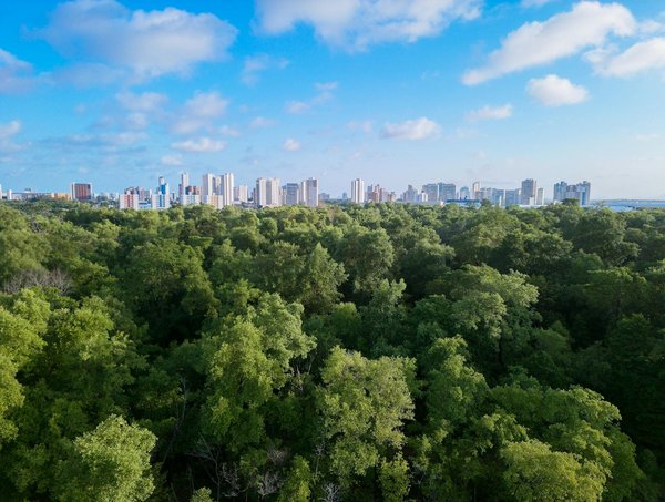 Les révolutions des avancées médicales pour notre bien-être