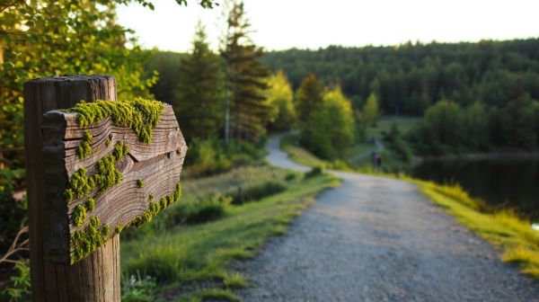 Découvrir les meilleurs parcours au lac d'Enghien-les-Bains